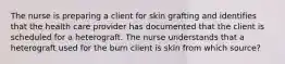 The nurse is preparing a client for skin grafting and identifies that the health care provider has documented that the client is scheduled for a heterograft. The nurse understands that a heterograft used for the burn client is skin from which source?