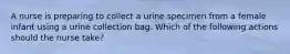 A nurse is preparing to collect a urine specimen from a female infant using a urine collection bag. Which of the following actions should the nurse take?