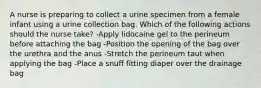 A nurse is preparing to collect a urine specimen from a female infant using a urine collection bag. Which of the following actions should the nurse take? -Apply lidocaine gel to the perineum before attaching the bag -Position the opening of the bag over the urethra and the anus -Stretch the perineum taut when applying the bag -Place a snuff fitting diaper over the drainage bag