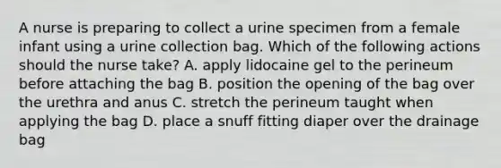 A nurse is preparing to collect a urine specimen from a female infant using a urine collection bag. Which of the following actions should the nurse take? A. apply lidocaine gel to the perineum before attaching the bag B. position the opening of the bag over the urethra and anus C. stretch the perineum taught when applying the bag D. place a snuff fitting diaper over the drainage bag