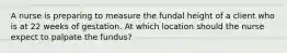 A nurse is preparing to measure the fundal height of a client who is at 22 weeks of gestation. At which location should the nurse expect to palpate the fundus?