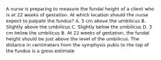 A nurse is preparing to measure the fundal height of a client who is at 22 weeks of gestation. At which location should the nurse expect to palpate the fundus? A. 5 cm above the umbilicus B. Slightly above the umbilicus C. Slightly below the umbilicus D. 3 cm below the umbilicus B. At 22 weeks of gestation, the fundal height should be just above the level of the umbilicus. The distance in centimeters from the symphysis pubis to the top of the fundus is a gross estimate