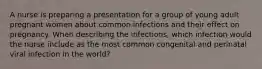 A nurse is preparing a presentation for a group of young adult pregnant women about common infections and their effect on pregnancy. When describing the infections, which infection would the nurse include as the most common congenital and perinatal viral infection in the world?