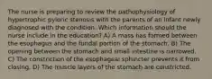 The nurse is preparing to review the pathophysiology of hypertrophic pyloric stenosis with the parents of an infant newly diagnosed with the condition. Which information should the nurse include in the education? A) A mass has formed between the esophagus and the fundal portion of the stomach. B) The opening between the stomach and small intestine is narrowed. C) The constriction of the esophageal sphincter prevents it from closing. D) The muscle layers of the stomach are constricted.