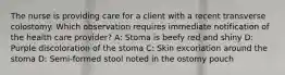 The nurse is providing care for a client with a recent transverse colostomy. Which observation requires immediate notification of the health care provider? A: Stoma is beefy red and shiny D: Purple discoloration of the stoma C: Skin excoriation around the stoma D: Semi-formed stool noted in the ostomy pouch