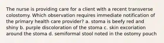 The nurse is providing care for a client with a recent transverse colostomy. Which observation requires immediate notification of the primary health care provider? a. stoma is beefy red and shiny b. purple discoloration of the stoma c. skin excoriation around the stoma d. semiformal stool noted in the ostomy pouch