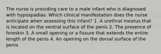 The nurse is providing care to a male infant who is diagnosed with hypospadias. Which clinical manifestation does the nurse anticipate when assessing this infant? 1. A urethral meatus that is located on the ventral surface of the penis 2. The presence of foreskin 3. A small opening or a fissure that extends the entire length of the penis 4. An opening on the dorsal surface of the penis