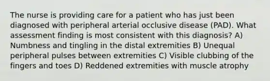 The nurse is providing care for a patient who has just been diagnosed with peripheral arterial occlusive disease (PAD). What assessment finding is most consistent with this diagnosis? A) Numbness and tingling in the distal extremities B) Unequal peripheral pulses between extremities C) Visible clubbing of the fingers and toes D) Reddened extremities with muscle atrophy