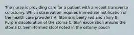 The nurse is providing care for a patient with a recent transverse colostomy. Which observation requires immediate notification of the health care provider? A. Stoma is beefy red and shiny B. Purple discoloration of the stoma C. Skin excoriation around the stoma D. Semi-formed stool noted in the ostomy pouch