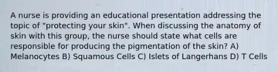 A nurse is providing an educational presentation addressing the topic of "protecting your skin". When discussing the anatomy of skin with this group, the nurse should state what cells are responsible for producing the pigmentation of the skin? A) Melanocytes B) Squamous Cells C) Islets of Langerhans D) T Cells