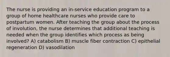 The nurse is providing an in-service education program to a group of home healthcare nurses who provide care to postpartum women. After teaching the group about the process of involution, the nurse determines that additional teaching is needed when the group identifies which process as being involved? A) catabolism B) muscle fiber contraction C) epithelial regeneration D) vasodilation