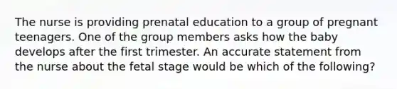 The nurse is providing prenatal education to a group of pregnant teenagers. One of the group members asks how the baby develops after the first trimester. An accurate statement from the nurse about the fetal stage would be which of the following?