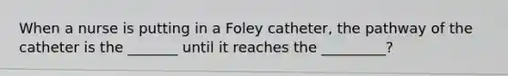 When a nurse is putting in a Foley catheter, the pathway of the catheter is the _______ until it reaches the _________?