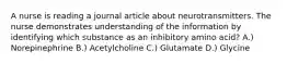 A nurse is reading a journal article about neurotransmitters. The nurse demonstrates understanding of the information by identifying which substance as an inhibitory amino acid? A.) Norepinephrine B.) Acetylcholine C.) Glutamate D.) Glycine