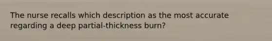 The nurse recalls which description as the most accurate regarding a deep partial-thickness burn?