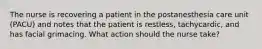 The nurse is recovering a patient in the postanesthesia care unit (PACU) and notes that the patient is restless, tachycardic, and has facial grimacing. What action should the nurse take?