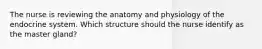 The nurse is reviewing the anatomy and physiology of the endocrine system. Which structure should the nurse identify as the master gland?