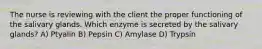 The nurse is reviewing with the client the proper functioning of the salivary glands. Which enzyme is secreted by the salivary glands? A) Ptyalin B) Pepsin C) Amylase D) Trypsin