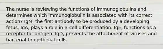 The nurse is reviewing the functions of immunoglobulins and determines which immunoglobulin is associated with its correct action? IgM, the first antibody to be produced by a developing fetus. IgA, plays a role in B-cell differentiation. IgE, functions as a receptor for antigen. IgD, prevents the attachment of viruses and bacterial to epithelial cells.