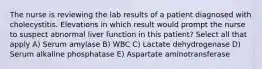 The nurse is reviewing the lab results of a patient diagnosed with cholecystitis. Elevations in which result would prompt the nurse to suspect abnormal liver function in this patient? Select all that apply A) Serum amylase B) WBC C) Lactate dehydrogenase D) Serum alkaline phosphatase E) Aspartate aminotransferase