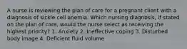 A nurse is reviewing the plan of care for a pregnant client with a diagnosis of sickle cell anemia. Which nursing diagnosis, if stated on the plan of care, would the nurse select as receiving the highest priority? 1. Anxiety 2. Ineffective coping 3. Disturbed body image 4. Deficient fluid volume