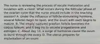 The nurse is reviewing the process of oocyte maturation and ovulation with a client. What occurs during the follicular phase of the ovarian cycle that the nurse should include in the teaching session? A. Under the influence of follicle-stimulating hormone, several follicles begin to ripen, and the ovum with each begins to mature. B. The empty ruptured graafian follicle becomes the corpus luteum, and it beg ins to secrete progesterone and estrogen. C. About day 14, a surge of hormones cause the ovum to burst through the ovary. D. The uterus prepares for implantation of an ovum.