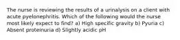 The nurse is reviewing the results of a urinalysis on a client with acute pyelonephritis. Which of the following would the nurse most likely expect to find? a) High specific gravity b) Pyuria c) Absent proteinuria d) Slightly acidic pH