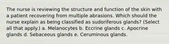 The nurse is reviewing the structure and function of the skin with a patient recovering from multiple abrasions. Which should the nurse explain as being classified as sudoriferous glands? (Select all that apply.) a. Melanocytes b. Eccrine glands c. Apocrine glands d. Sebaceous glands e. Ceruminous glands.