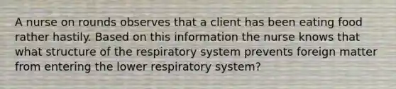 A nurse on rounds observes that a client has been eating food rather hastily. Based on this information the nurse knows that what structure of the respiratory system prevents foreign matter from entering the lower respiratory system?