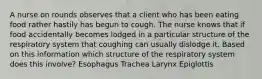 A nurse on rounds observes that a client who has been eating food rather hastily has begun to cough. The nurse knows that if food accidentally becomes lodged in a particular structure of the respiratory system that coughing can usually dislodge it. Based on this information which structure of the respiratory system does this involve? Esophagus Trachea Larynx Epiglottis