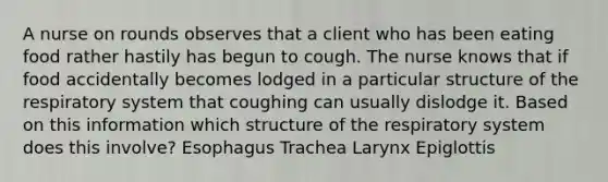 A nurse on rounds observes that a client who has been eating food rather hastily has begun to cough. The nurse knows that if food accidentally becomes lodged in a particular structure of the respiratory system that coughing can usually dislodge it. Based on this information which structure of the respiratory system does this involve? Esophagus Trachea Larynx Epiglottis