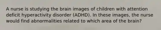 A nurse is studying the brain images of children with attention deficit hyperactivity disorder (ADHD). In these images, the nurse would find abnormalities related to which area of the brain?