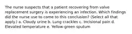 The nurse suspects that a patient recovering from valve replacement surgery is experiencing an infection. Which findings did the nurse use to come to this conclusion? (Select all that apply.) a. Cloudy urine b. Lung crackles c. Incisional pain d. Elevated temperature e. Yellow-green sputum