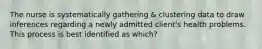 The nurse is systematically gathering & clustering data to draw inferences regarding a newly admitted client's health problems. This process is best identified as which?