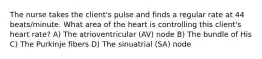 The nurse takes the client's pulse and finds a regular rate at 44 beats/minute. What area of the heart is controlling this client's heart rate? A) The atrioventricular (AV) node B) The bundle of His C) The Purkinje fibers D) The sinuatrial (SA) node