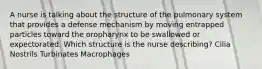 A nurse is talking about the structure of the pulmonary system that provides a defense mechanism by moving entrapped particles toward the oropharynx to be swallowed or expectorated. Which structure is the nurse describing? Cilia Nostrils Turbinates Macrophages