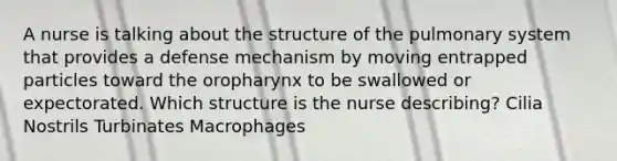 A nurse is talking about the structure of the pulmonary system that provides a defense mechanism by moving entrapped particles toward the oropharynx to be swallowed or expectorated. Which structure is the nurse describing? Cilia Nostrils Turbinates Macrophages