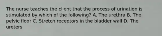 The nurse teaches the client that the process of urination is stimulated by which of the​ following? A. The urethra B. The pelvic floor C. Stretch receptors in the bladder wall D. The ureters