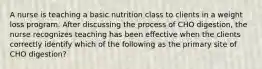 A nurse is teaching a basic nutrition class to clients in a weight loss program. After discussing the process of CHO digestion, the nurse recognizes teaching has been effective when the clients correctly identify which of the following as the primary site of CHO digestion?