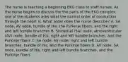 The nurse is teaching a beginning EKG class to staff nurses. As the nurse begins to discuss the the parts of the EKG complex, one of the students asks what the normal order of conduction through the heart is. What order does the nurse describe? A. SA node, AV node, bundle of His, the Purkinje fibers, and the right and left bundle branches B. Sinoatrial (SA) node, atrioventricular (AV) node, bundle of His, right and left bundle branches, and the Purkinje fibers C. SA node, AV node, right and left bundle branches, bundle of His, and the Purkinje fibers D. AV node, SA node, bundle of His, right and left bundle branches, and the Purkinje fibers