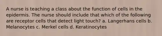 A nurse is teaching a class about the function of cells in the epidermis. The nurse should include that which of the following are receptor cells that detect light touch? a. Langerhans cells b. Melanocytes c. Merkel cells d. Keratinocytes