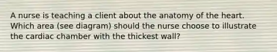 A nurse is teaching a client about the anatomy of <a href='https://www.questionai.com/knowledge/kya8ocqc6o-the-heart' class='anchor-knowledge'>the heart</a>. Which area (see diagram) should the nurse choose to illustrate the cardiac chamber with the thickest wall?