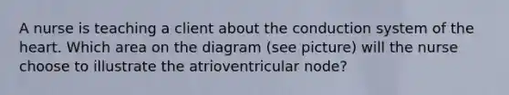 A nurse is teaching a client about the conduction system of the heart. Which area on the diagram (see picture) will the nurse choose to illustrate the atrioventricular node?