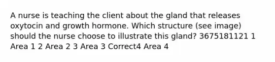 A nurse is teaching the client about the gland that releases oxytocin and growth hormone. Which structure (see image) should the nurse choose to illustrate this gland? 3675181121 1 Area 1 2 Area 2 3 Area 3 Correct4 Area 4