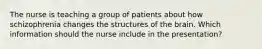 The nurse is teaching a group of patients about how schizophrenia changes the structures of the brain. Which information should the nurse include in the presentation?