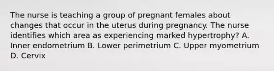 The nurse is teaching a group of pregnant females about changes that occur in the uterus during pregnancy. The nurse identifies which area as experiencing marked hypertrophy? A. Inner endometrium B. Lower perimetrium C. Upper myometrium D. Cervix