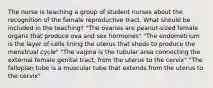 The nurse is teaching a group of student nurses about the recognition of the female reproductive tract. What should be included in the teaching? "The ovaries are peanut-sized female organs that produce ova and sex hormones" "The endometrium is the layer of cells lining the uterus that sheds to produce the menstrual cycle" "The vagina is the tubular area connecting the external female genital tract, from the uterus to the cervix" "The fallopian tube is a muscular tube that extends from the uterus to the cervix"