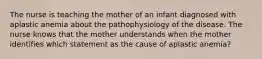 The nurse is teaching the mother of an infant diagnosed with aplastic anemia about the pathophysiology of the disease. The nurse knows that the mother understands when the mother identifies which statement as the cause of aplastic anemia?