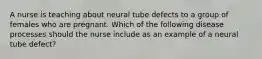 A nurse is teaching about neural tube defects to a group of females who are pregnant. Which of the following disease processes should the nurse include as an example of a neural tube defect?