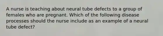 A nurse is teaching about neural tube defects to a group of females who are pregnant. Which of the following disease processes should the nurse include as an example of a neural tube defect?